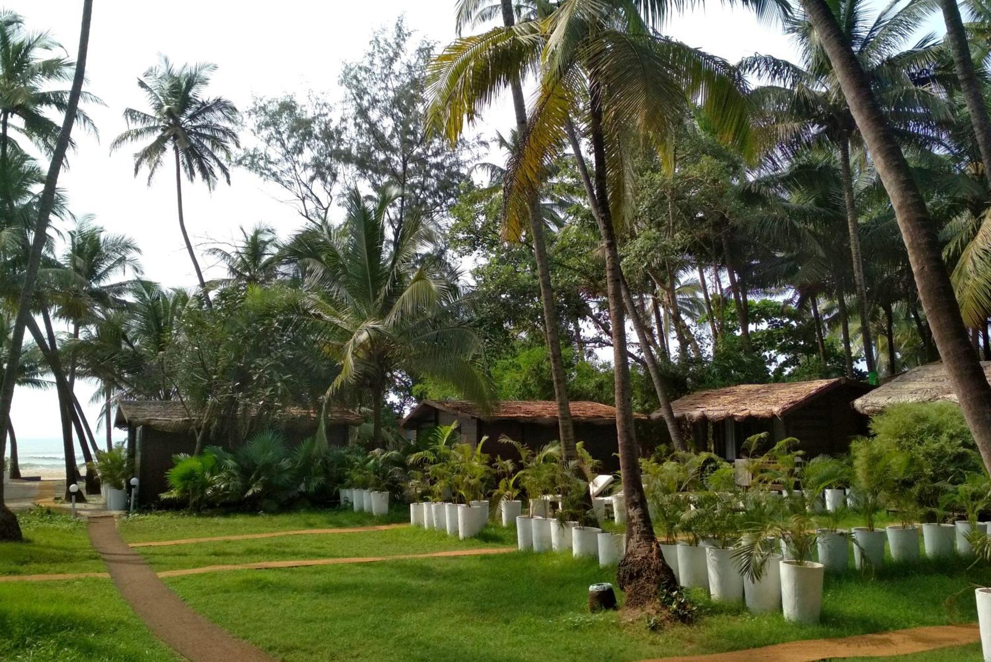 Mamagoa Beach Resort Mandrem Exterior foto